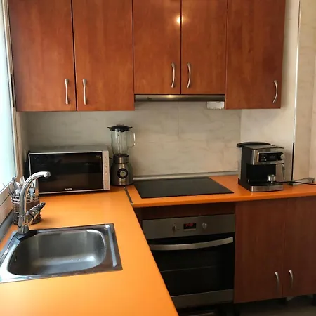 Apartamento Centrico Торевьиа